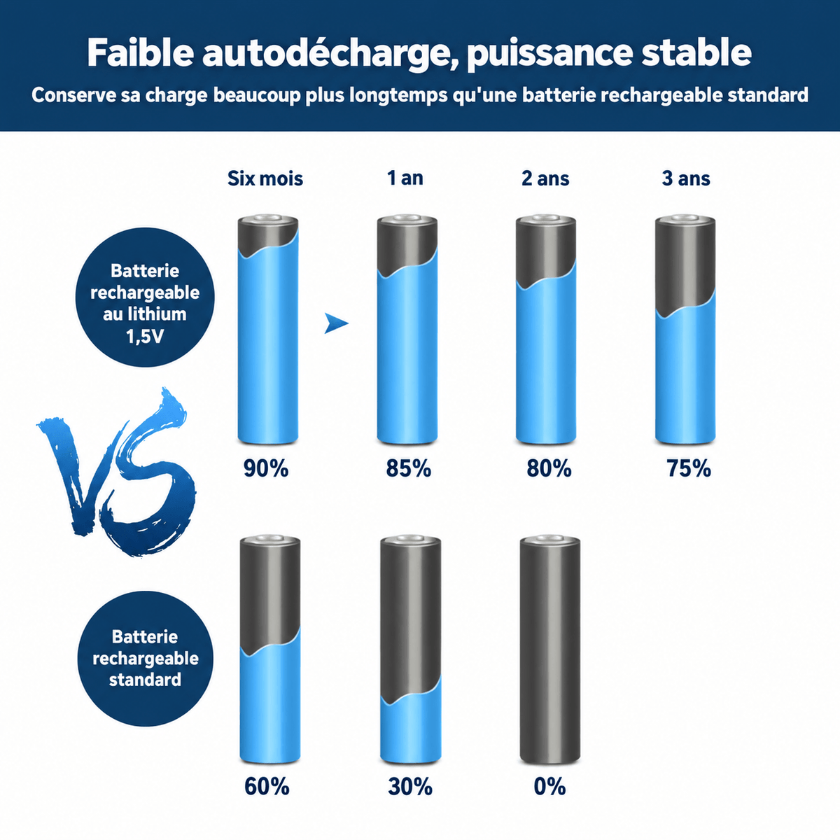 Piles rechargeables USB-C SilverProtect, faible autodécharge