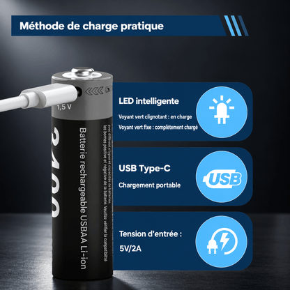 Piles rechargeables USB-C SilverProtect, charge par câble USB